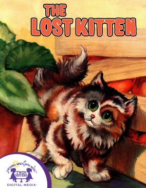Image representing cover art for The Lost Kitten