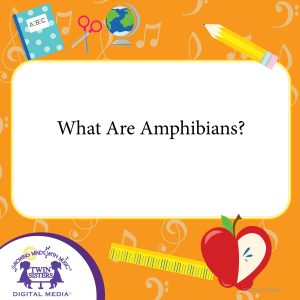 Cover art for What Are Amphibians?