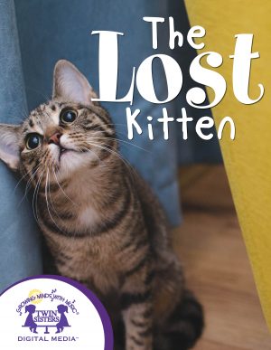 Cover art for The Lost Kitten