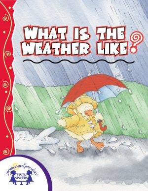 Cover art for What Is The Weather Like Today?