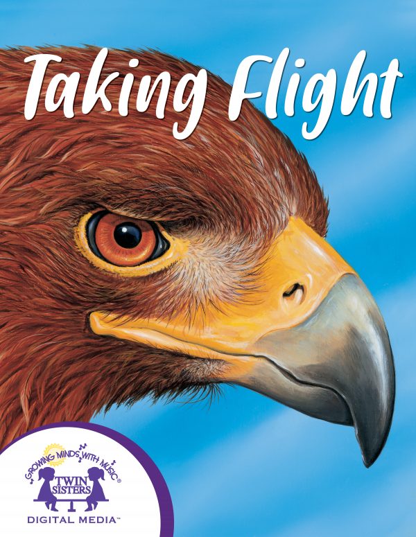 Cover Art For Taking Flight