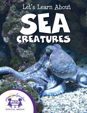 Cover art for Let's Learn About Sea Creatures