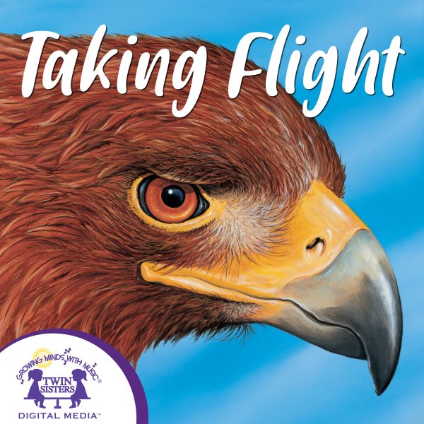 Cover Art For Taking Flight