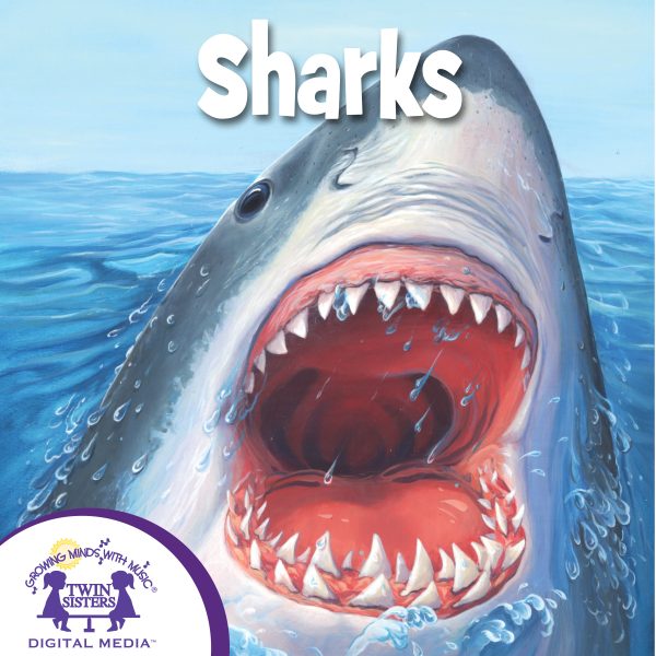 Cover Art For Sharks