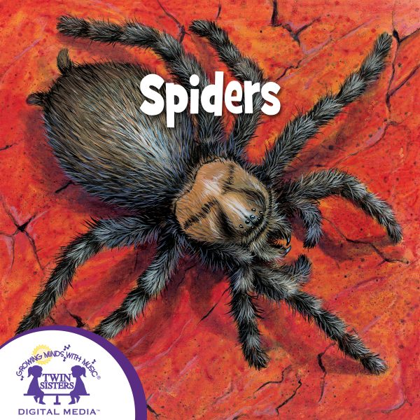 Cover Art For Spiders