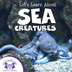 Cover art for Let's Learn About Sea Creatures