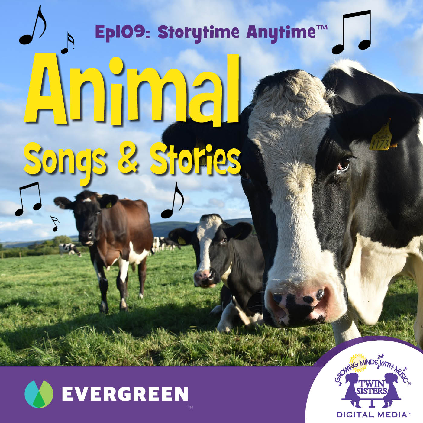 Animals Songs & Stories