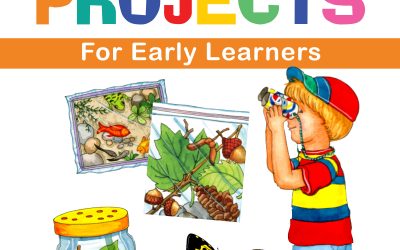 Cover art for DIY Nature Projects for Early Learners