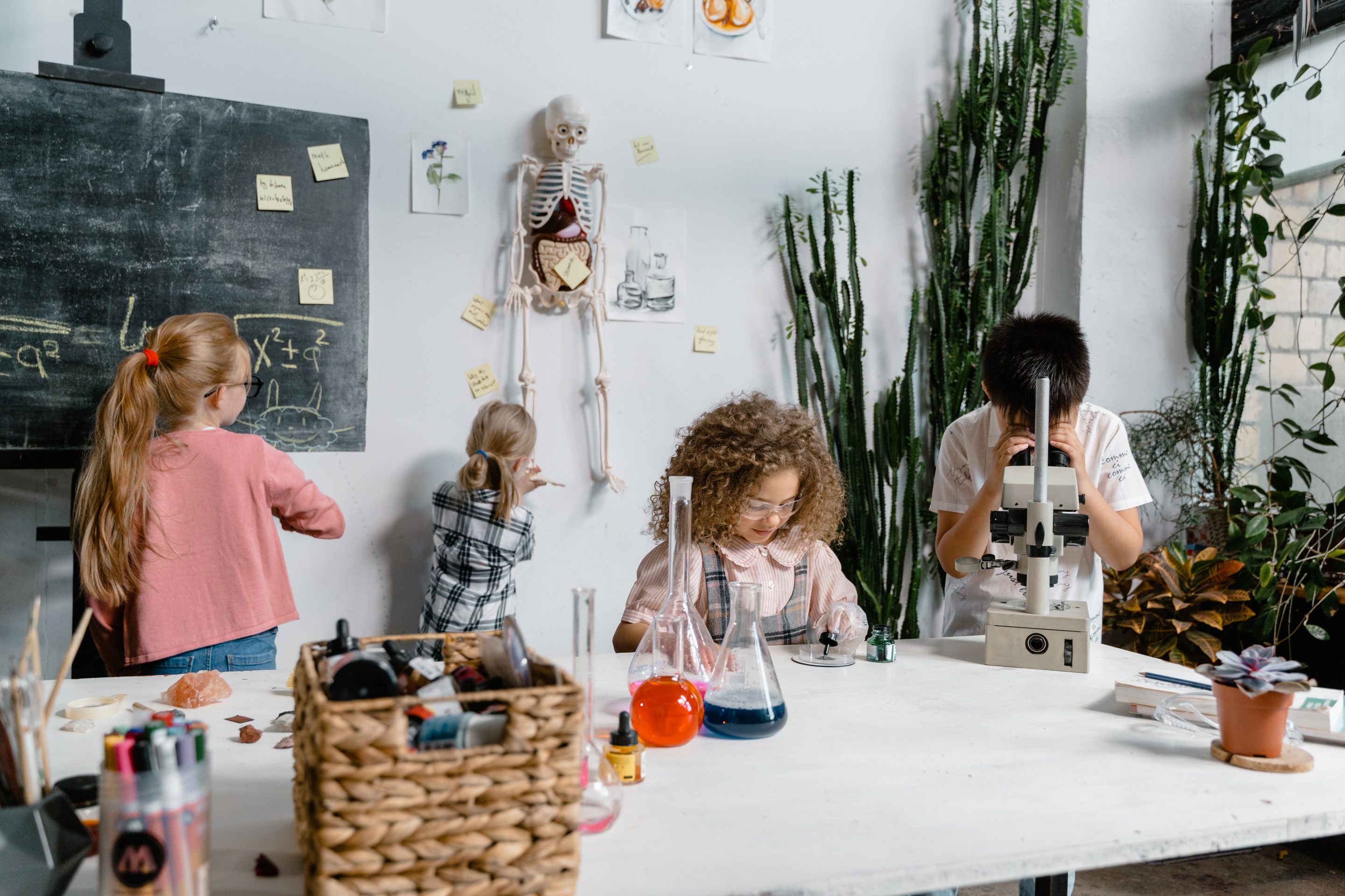 DIY Science Projects for Early Learners to Explore and Discover