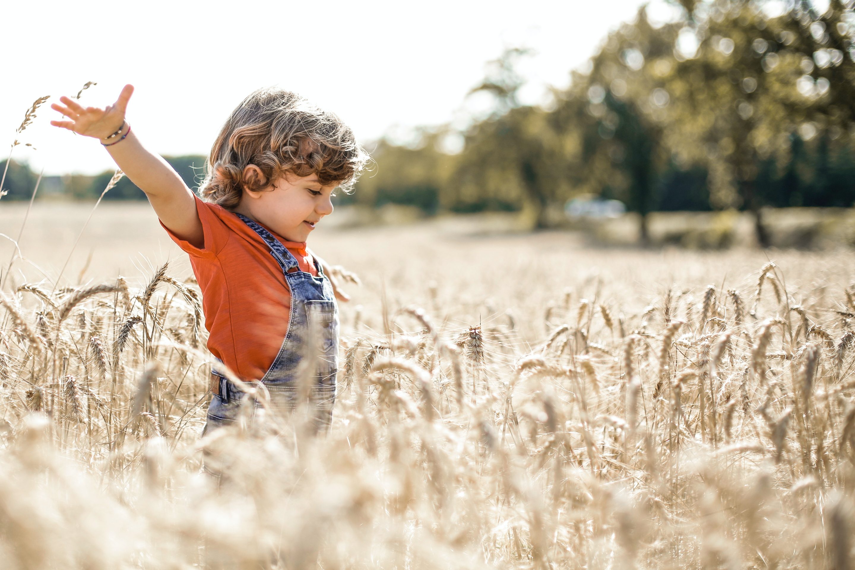 DIY Nature Projects for Early Learners to Connect with the Outdoors